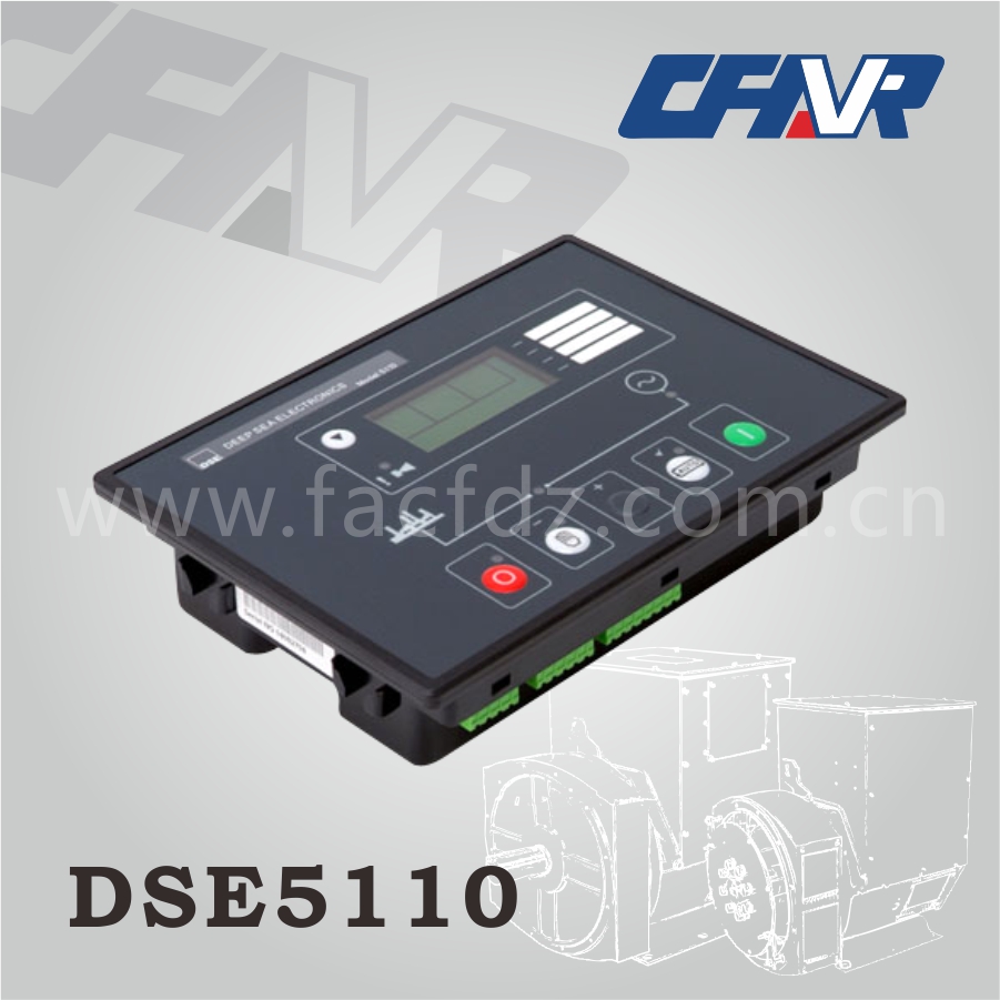 DSE5110