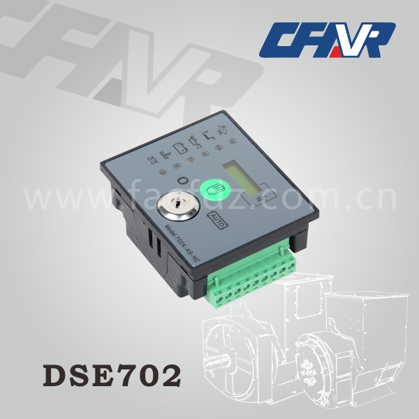 DSE702