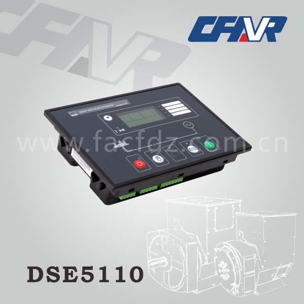 DSE5110