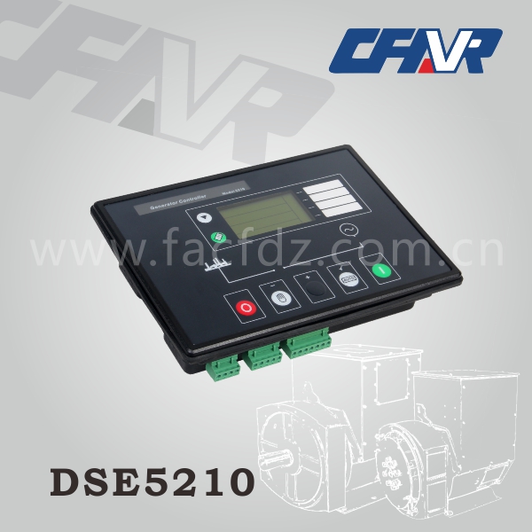 DSE5210