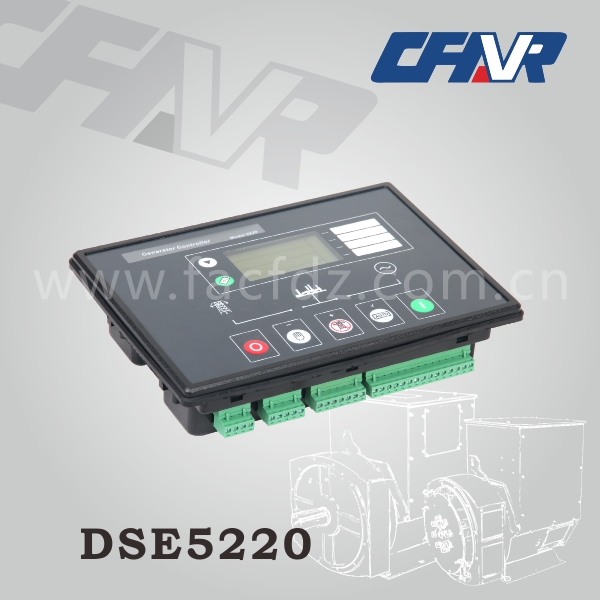 DSE5220